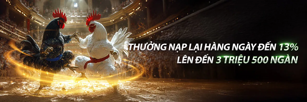 Đá Gà Trực Tuyến zb368 Nhà Cái 2026